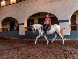 Voucher per 2 lezioni di equitazione a Cartagena 1 ora