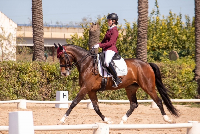 Aprende a montar a caballo en Cartagena