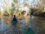 Canoeing route in the Guadiamar, 1h 30 min