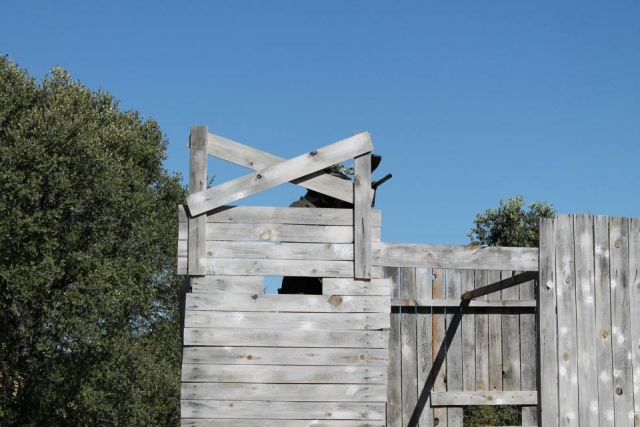  Fort 