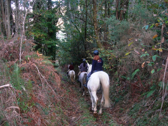 Paseando a caballo