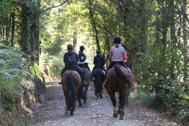 Cabalgamarra 