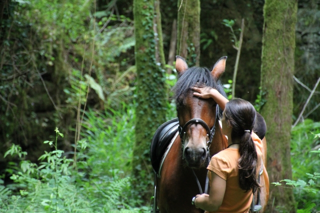 Descanso duranle la salida a caballo 