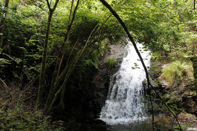 Descubriendo una cascada con una cabalgamarra 