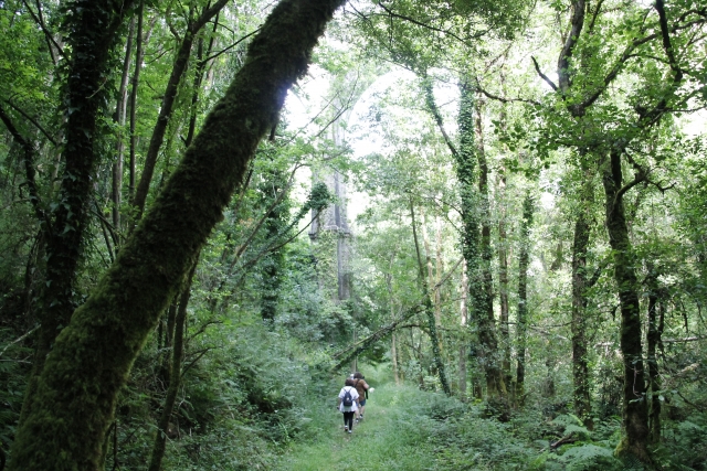 Excursión a caballo por los montes de Cal da Loba 