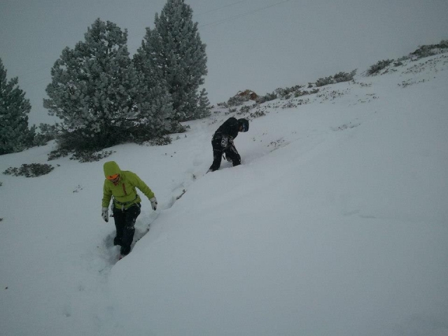 Vorwärts durch den Schnee 