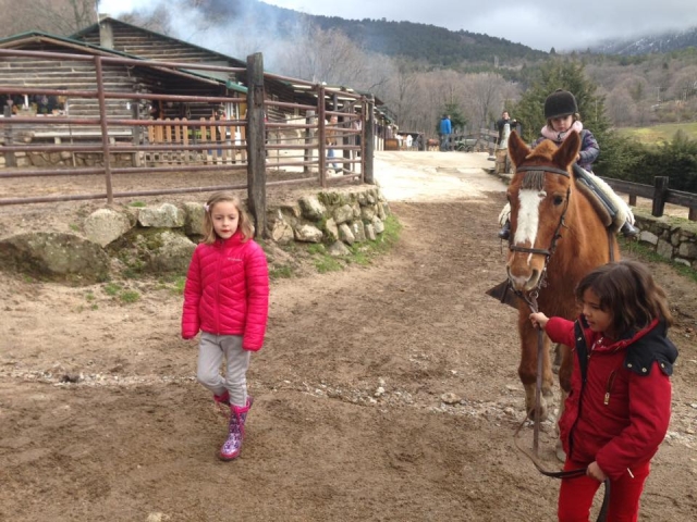Godersi una lezione di equitazione in pista 