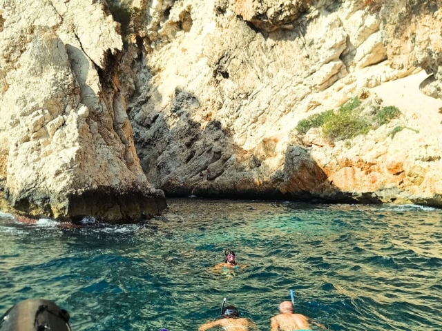 Observa la vida submarina en Jávea