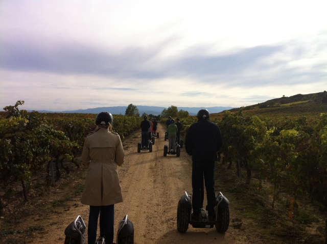  Passeio de segway pelas vinhas 