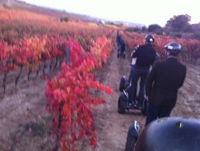  Outono entre vinhas com segways 