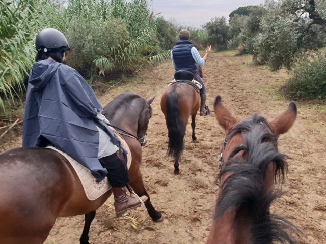 Ruta a caballo