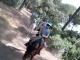 Rutas a caballo por el río Sevilla