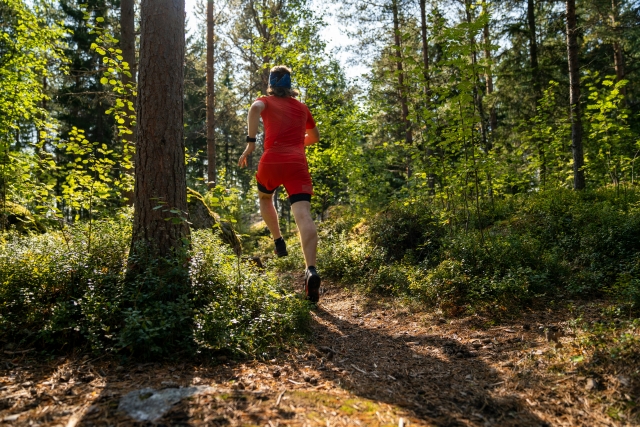  Corrida pelos Picos da Europa 