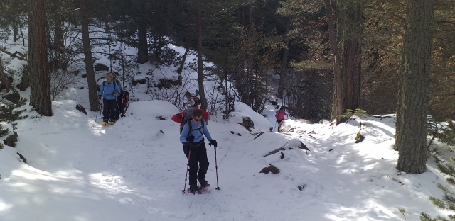 En el bosque nevado con las raquetas de nieve