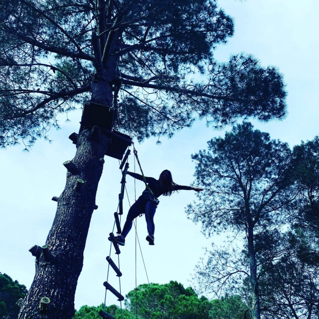  Erklimme einige Treppen, um einen Baum zu krönen 