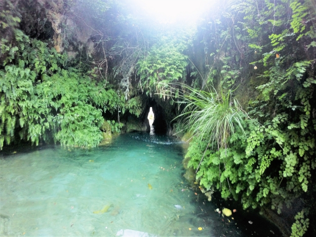  Canyoning in Organyà 