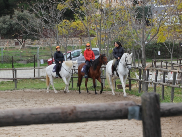 Routen zu Pferd in der Nähe von Madrid 