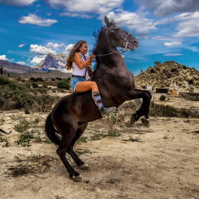  Un cavallo che si alza sulle zampe anteriori 