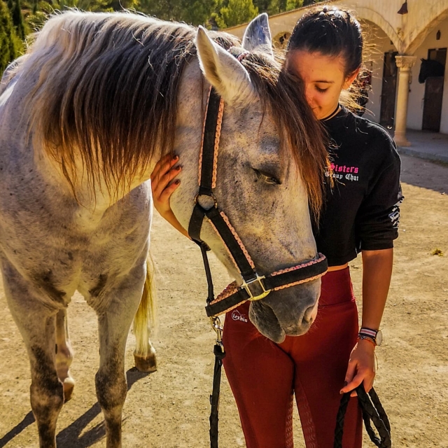  Un istruttore che mostra il suo amore per un cavallo 