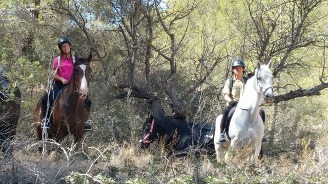  Un bellissimo percorso a cavallo tra cespugli e alberi