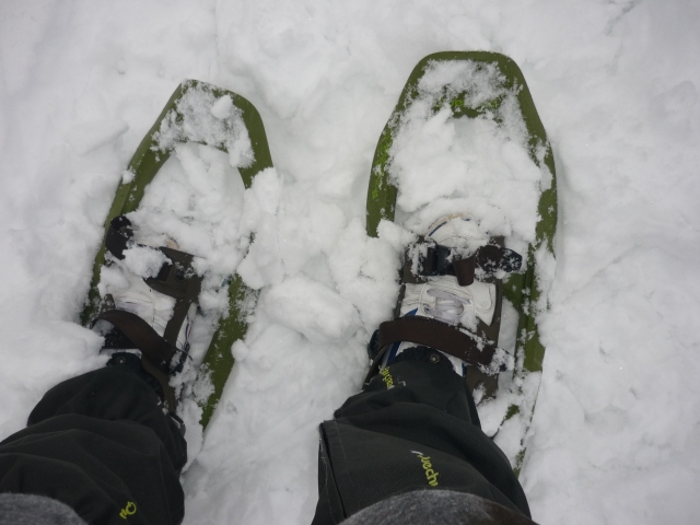 Schneeschuhe 