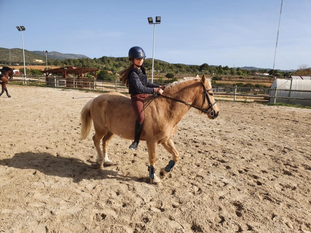  Profiter d'une balade à poney 