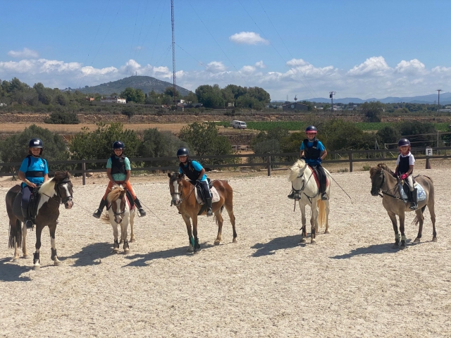  Apprendre à monter à poney