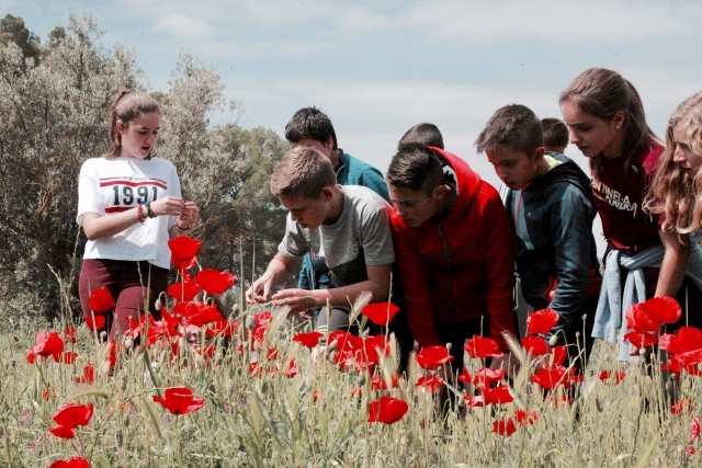 Excursiones al entorno rural de Requena