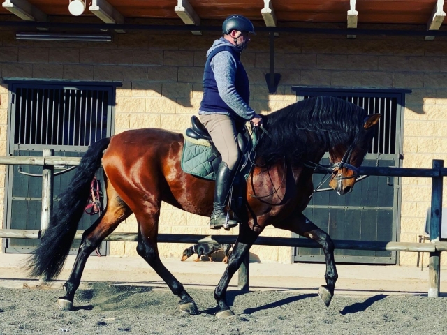  Reiten lernen in Girona 