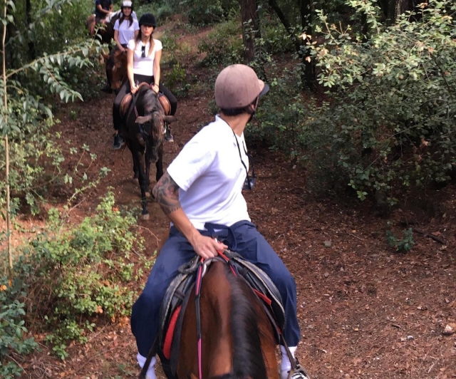  Disfruta de una ruta a caballo 