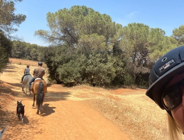 Descubre el Parque Natural Collserola a caballo 