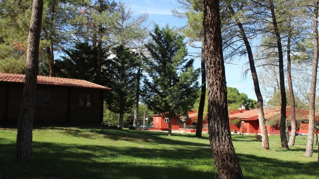  Cabanas Camp La rivera 