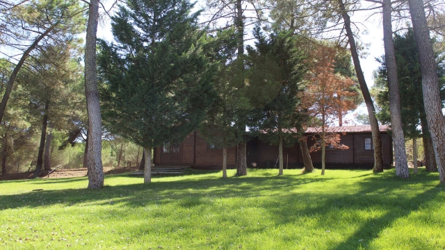 Cabañas del camapamento