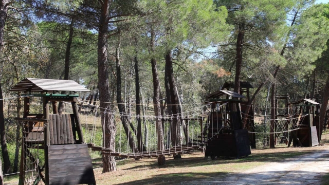 Juegos de tirolinas entre árboles