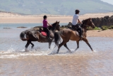 Ruta a caballo por Parque Natural de Liencres 1h