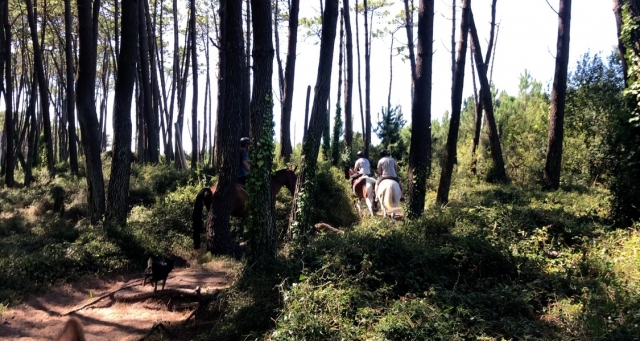 Monta a caballo por el Parque Natural de Liencres