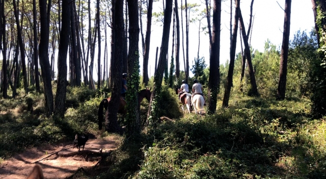 Ruta a caballo por la flora y fauna cántabra
