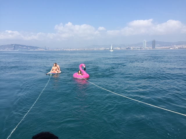 Surf Flamingo