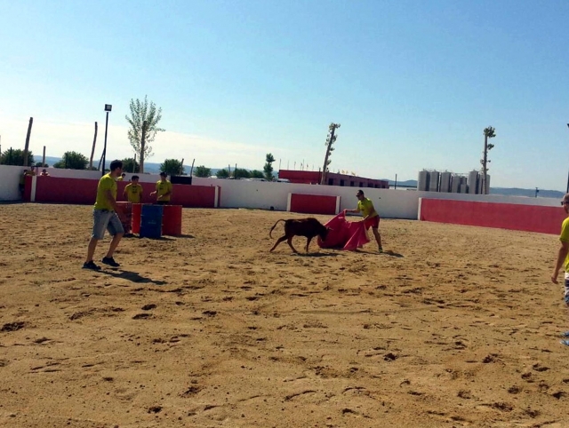  Une journée amusante dans les arènes