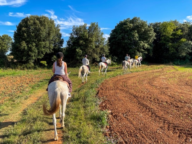 Cabalgamarra por la naturaleza