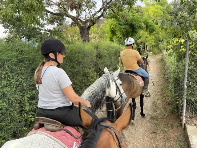 Disfruta de nuestras cabalgamarras
