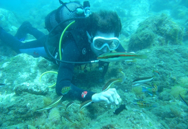 Buceando junto a peces