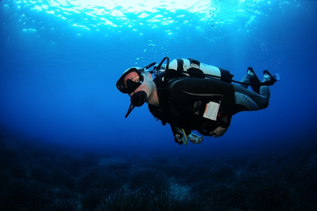  Ibiza padi open water 