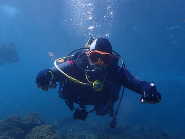  Corsi di immersione a Fuerteventura