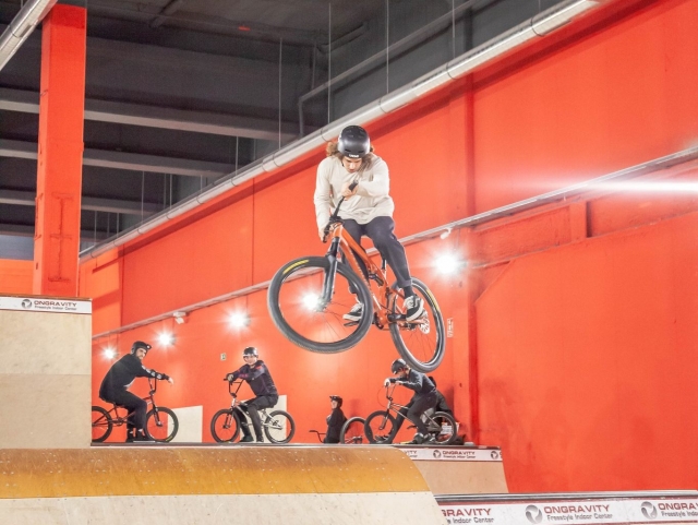 Bicicleta