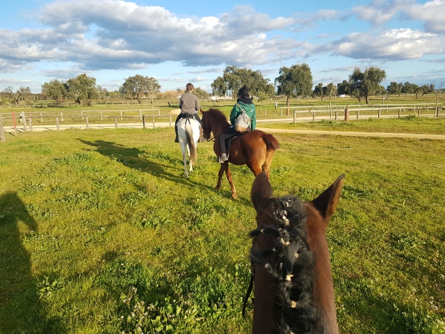  90 minutes on horseback 