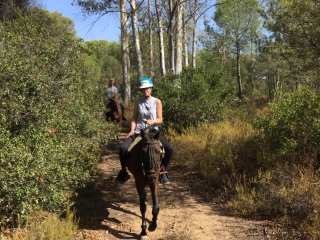 Ruta a caballo junto al Arroyo del Gato, 90min