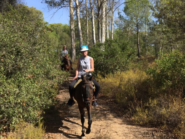 Ruta a caballo junto al Arroyo del Gato, 90min