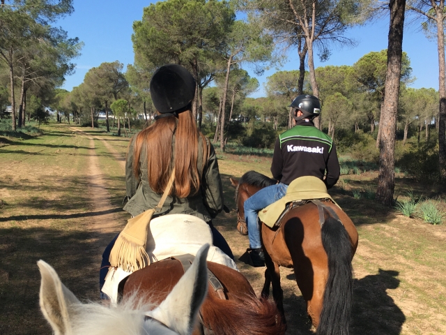 A cavallo in equitazione a Siviglia