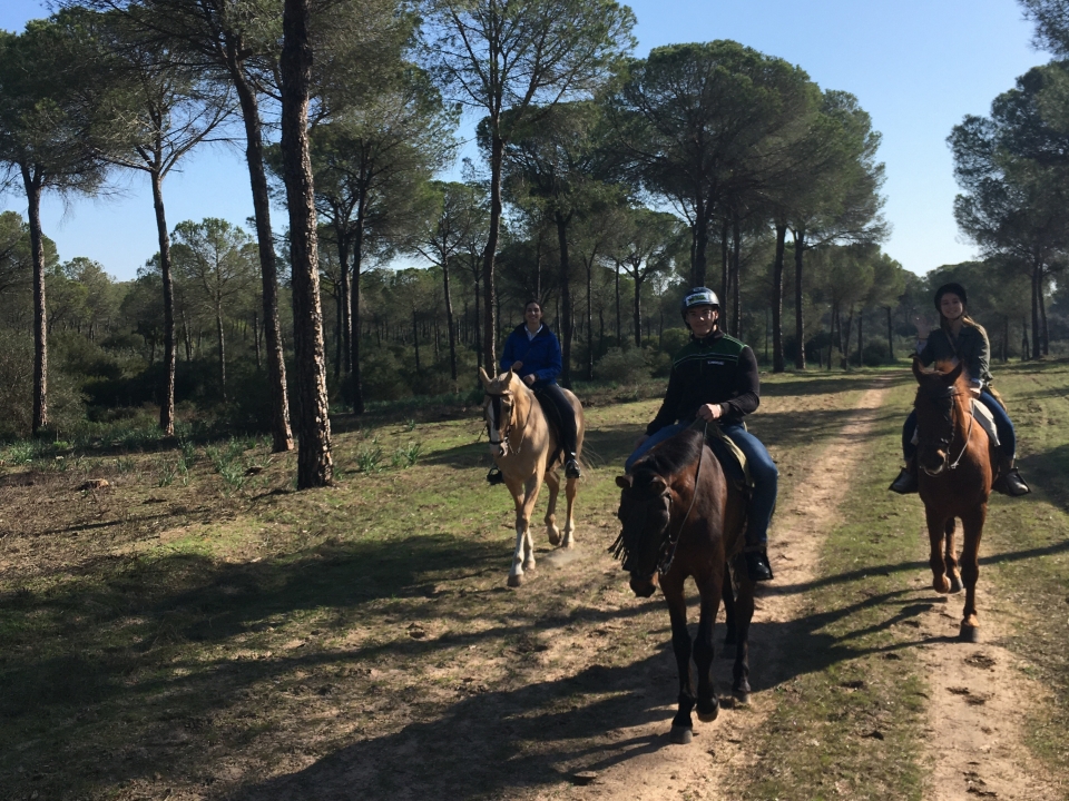 En ruta a caballo